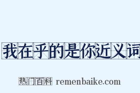 我在乎的是你近义词是什么意思的图片